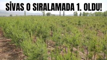 Sivas O Sıralamada 1. Oldu 