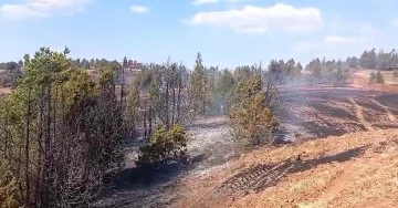 Sivas’ta 1 Saat Süren Yangında Çok Sayıda Ağaç Zarar Gördü 