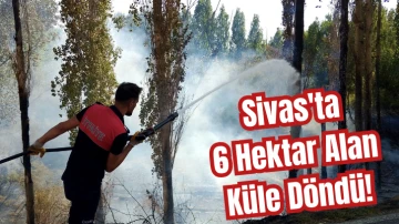 Sivas'ta 6 Hektar Alan Küle Döndü! 