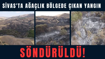 Sivas'ta Ağaçlık Bölgede Çıkan Yangın Söndürüldü!