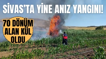 Sivas'ta Anız Yangını!