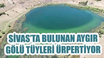 Sivas’ta Bulunan Aygır Gölü Tüyleri Ürpertiyor 