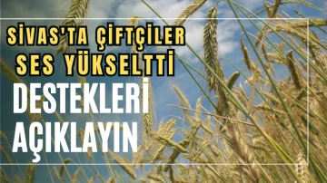 Sivas'ta Çiftçiler Ses Yükseltti: Destekleri Açıklayın 