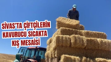 Sivas'ta Çiftçilerin Kavurucu Sıcakta Kış Mesaisi!