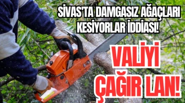 Sivas'ta Damgasız Ağaçları Kesiyorlar İddiası! Valiyi Çağır Lan!