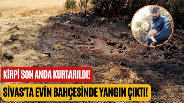 Sivas'ta Evin Bahçesinde Yangın Çıktı! Kirpi Son Anda Kurtarıldı!