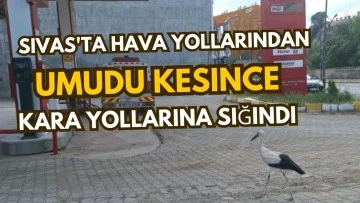 Sivas'ta Hava Yollarından Umudu Kesince Kara Yollarına Sığındı