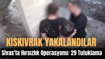 Sivas'ta Hırsızlık Operasyonu: 29 Tutuklama 