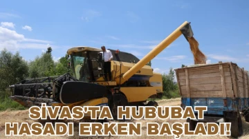 Sivas'ta Hububat Hasadı Erken Başladı!