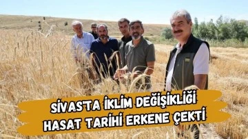 Sivas'ta İklim Değişikliği Hasat Tarihini Erkene Çekti