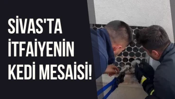 Sivas'ta İtfaiyenin Kedi Mesaisi! 