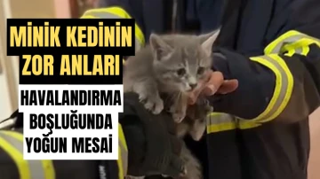 Sivas'ta Minik Kedinin Zor Anları