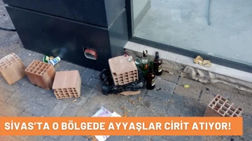 Sivas’ta O Bölgede Ayyaşlar Cirit Atıyor!