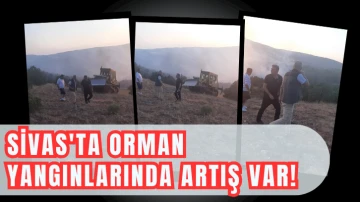 Sivas'ta Orman Yangınlarında Artış Var!