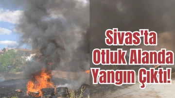 Sivas'ta Otluk Alanda Yangın Çıktı!