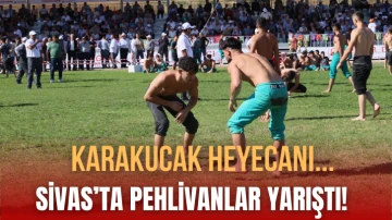 Sivas'ta Pehlivanlar Yarıştı! 