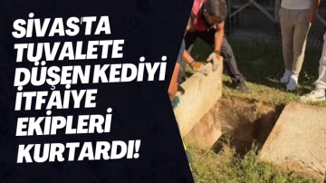 Sivas'ta Tuvalete Düşen Kediyi İtfaiye Ekipleri Kurtardı! 