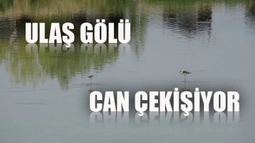 Sivas'ta Ulaş Gölü Can Çekişiyor