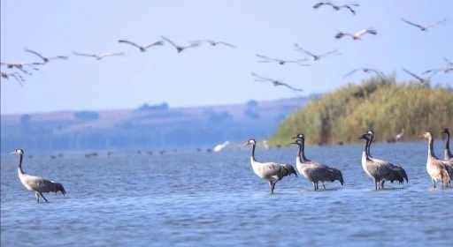 Sivas'tan Yola Çıktılar Adana'da Mola Verdiler