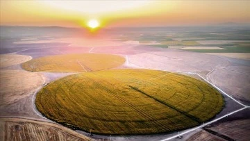 Sivaslı Çiftçilere Müjde! Destek Çağrısı Yayımlandı 