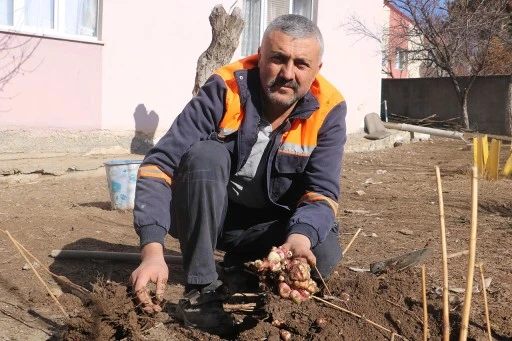 Sivaslı Üretici, Zoru Başardı