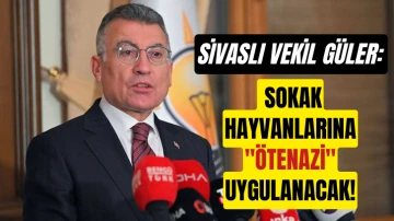 Sivaslı Vekil Sokak Hayvanlarına &quot;Ötenazi&quot; Uygulanacağını Söyledi