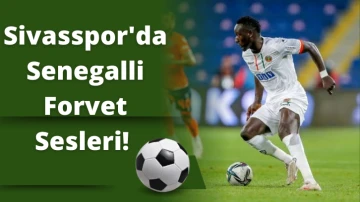 Sivasspor'da Senegalli Forvet Sesleri! 