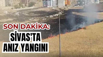 Son Dakika: Sivas'ta Anız Yangını 