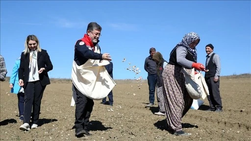 Tarım ve Orman Bakanı Yumaklı,  sarımsak ekimine katıldı