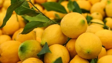 Temmuz ayında limonun fiyatı yüzde 54 arttı