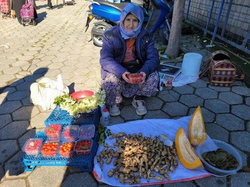 Topladığı Ürünlerle Geçimini Sağlıyor!  67 Yaşındaki Koca Çınar! 