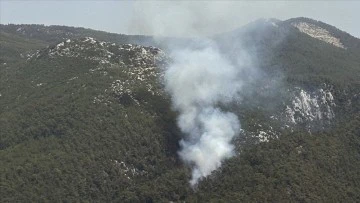 Türkiye'de Yangınla Mücadele Sürüyor! Bakan Yumaklı Rakamları Paylaştı