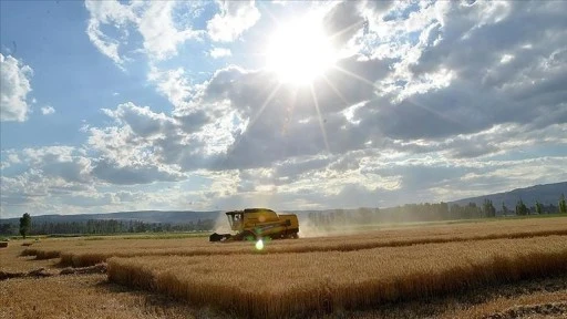 Türkiye Gıda Arzında Sürdürülebilirlik için Avrupa'yla Ortak Proje Yapacak