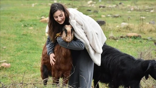 Yazdığı Tezden Etkilendi, Çiftlik Kurdu 