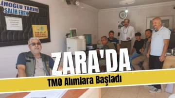 Zara'da TMO Alımlara Başladı 