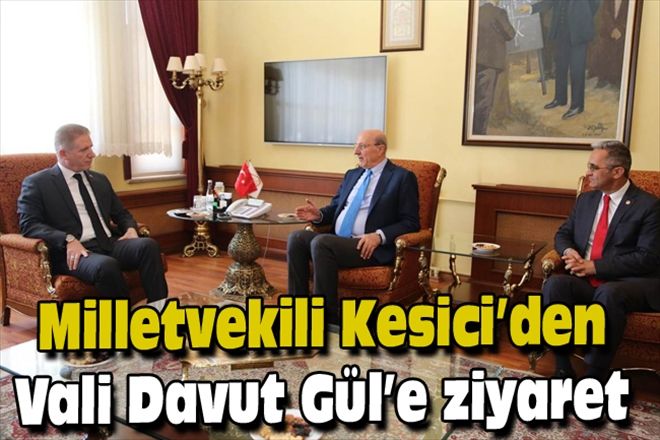 Milletvekili Kesici´den Vali Davut Gül´e ziyaret 