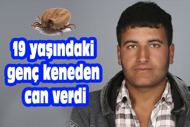 19 yaşındaki genç keneden can verdi