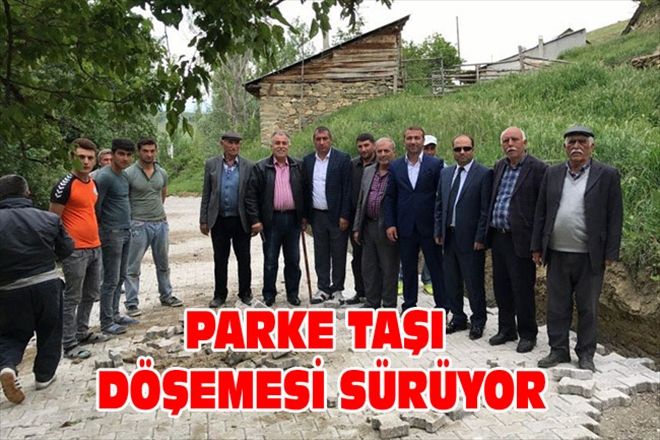 PARKE TAŞI DÖŞEMESİ SÜRÜYOR