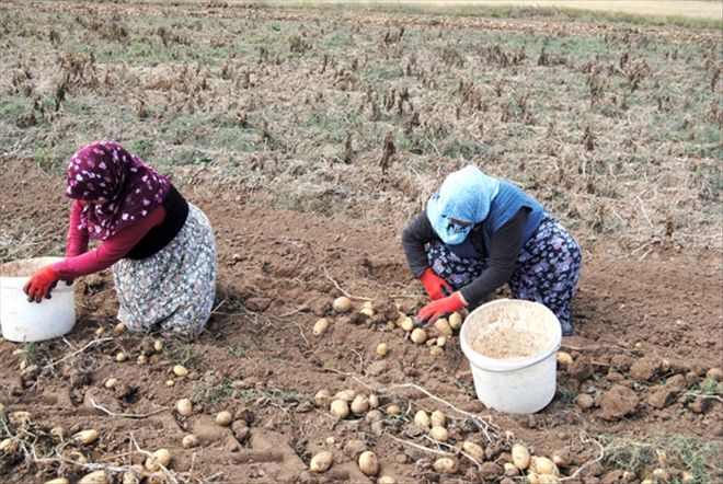 Köyler İŞKUR´dan destek bekliyor