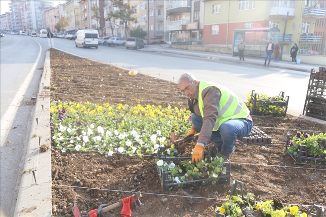 250 Bin Çiçek  Dikilecek