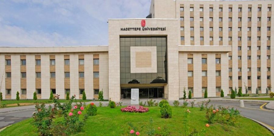 Hacettepe Üniversitesi Sözleşmeli Bilişim Personeli sınav ilanı