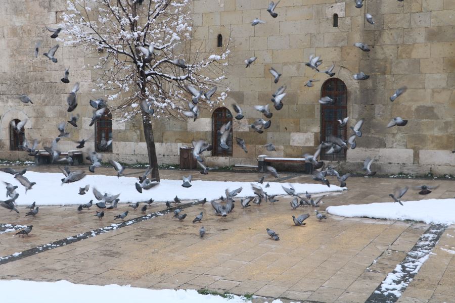 Nisan Karı Güzel Görüntüler Oluşturdu --Video