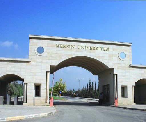 Mersin Üniversitesi 35 Öğretim Üyesi alıyor