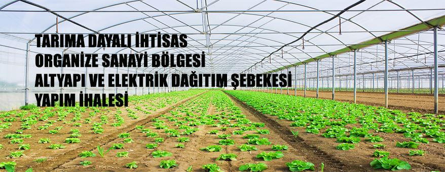 Zonguldak (Sera) Tarıma Dayalı İhtisas Organize Sanayi Bölgesi Altyapı ve Elektrik Dağıtım Şebekesi Yapım İhalesi