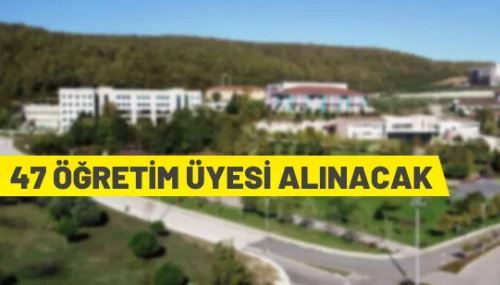 Düzce Üniversitesi, 47 Öğretim Üyesi alacak