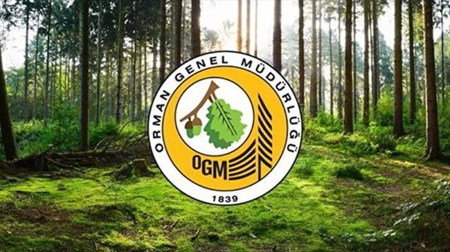 Orman Genel Müdürlüğü 249 Orman Mühendisi alacak